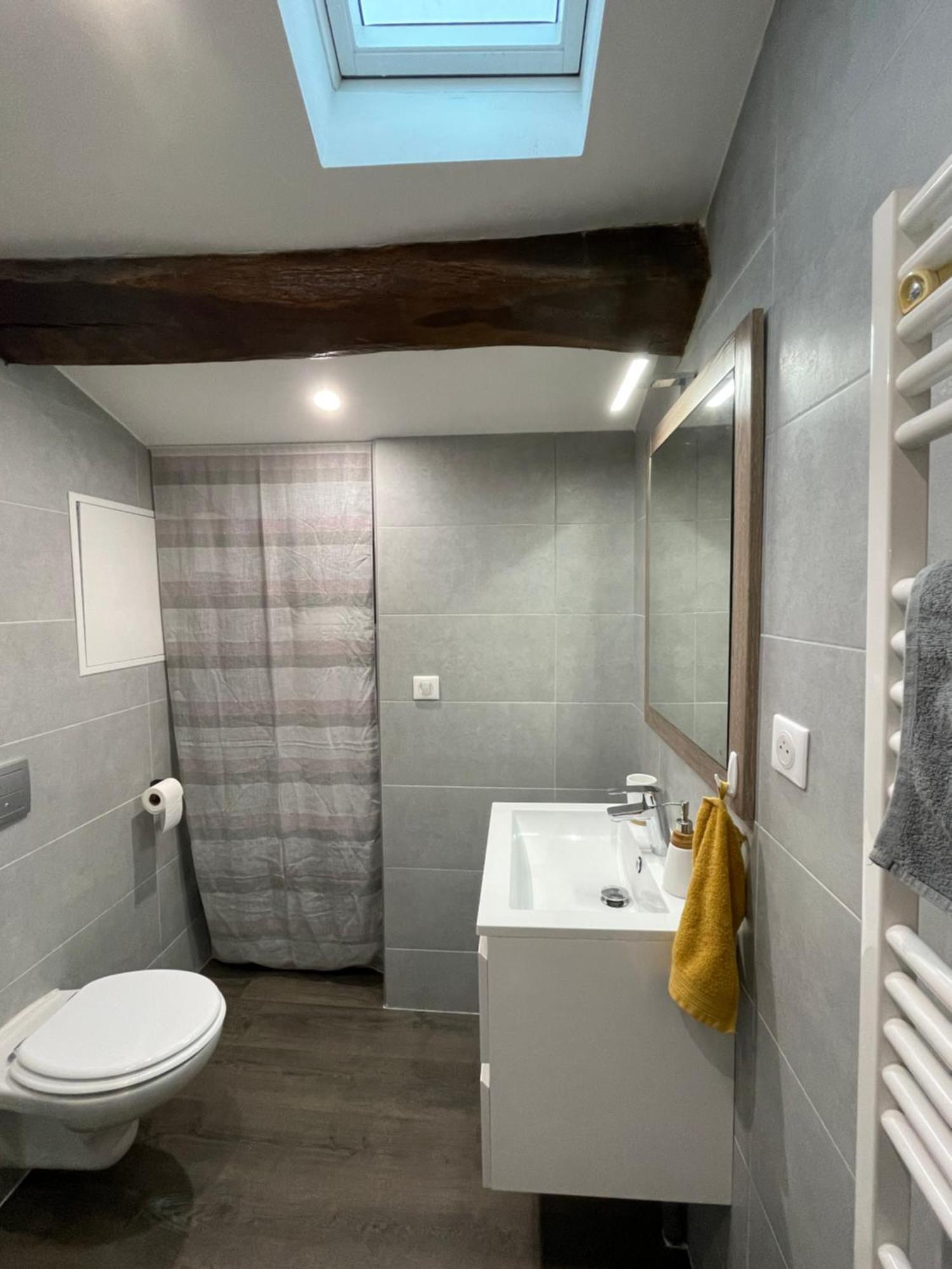 Chez Jean-Yves Et Zoe - Le Saint Andre - Au Calme, Tres Propre, Proche Parkings, Clim Appartement Niort Buitenkant foto