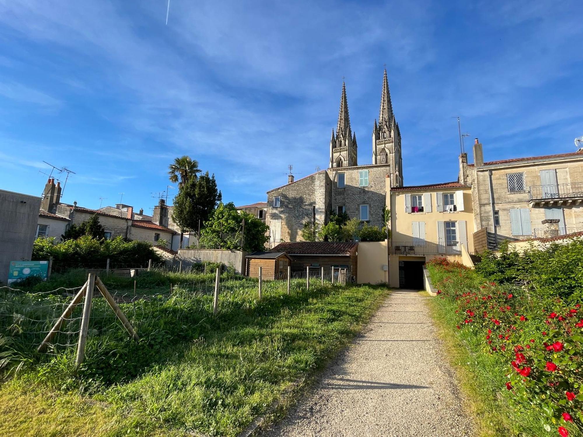 Chez Jean-Yves Et Zoe - Le Saint Andre - Au Calme, Tres Propre, Proche Parkings, Clim Appartement Niort Buitenkant foto